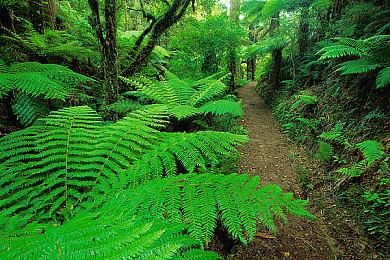 《幻象破坏者Omnia》新角色演示 时空旅行者“Fin”