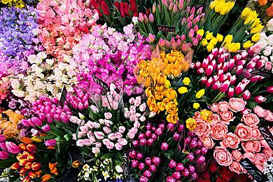 还有高手！《哈迪斯2》媒体均分94分：令人敬佩的作品！