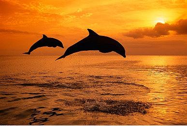 《宇宙巡航机 起源》Steam页面 8月7日发售